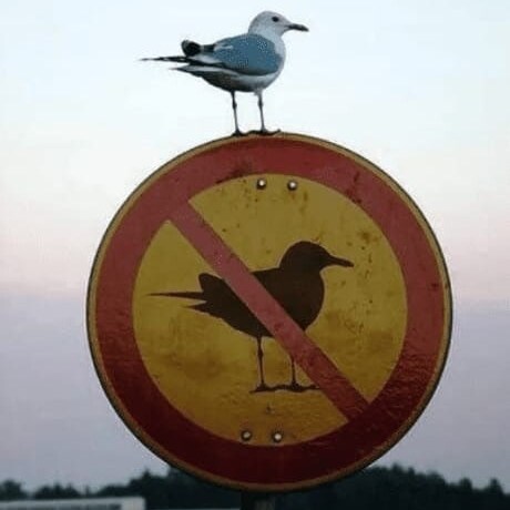 anti-vaccine
#donotcomply