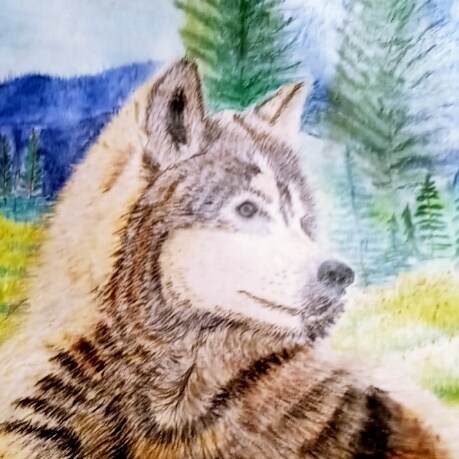 God is number one, support the United States Constitution, Jesus Christ Lord of Lords ONLY Savior. Give me liberty or gi...