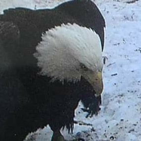 We MUST fix our election process!!  No more MACHINES!! No mail-in ballots for the masses!!  Congress must reduce/elimina...