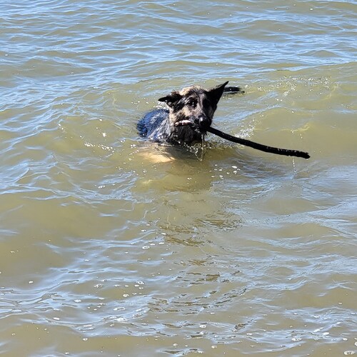 Freedom loving patriot.  Back the Blue, 1A, 2A, Trump Won, Everyone knows