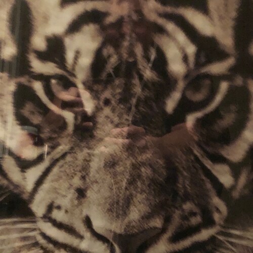 Visit Marty Wilheim's profile on GETTR. View their posts, photos, videos, and connect with them on the social platform.