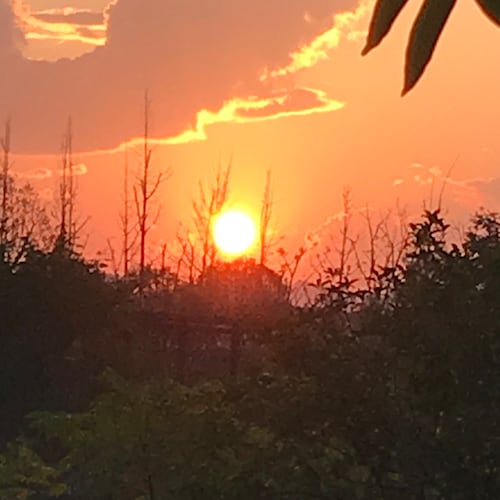 追隨郭文貴先生而来，只为对爆料革命有益的点赞、转发；做真實的自己！