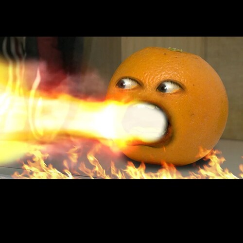 Married, Father, sport fishing, ⛳,  volleyball (sand)