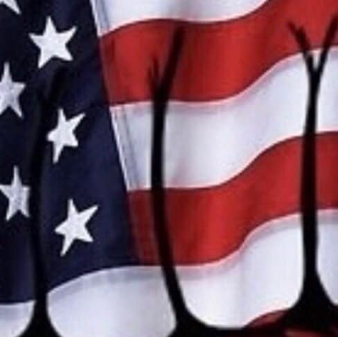 I’m a wife, mother, and Nana. A undeniable fighting Patriot, 1 & 2 Amendment advocate! God & Family first!