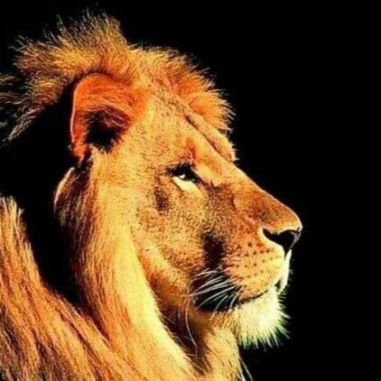 Protecting freedom of speech and speaking the truth.  With God's help, we will overcome.