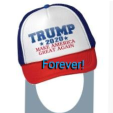 Save America from Joe BiteMe and Heels Up. Trump won. Trump won. Trump won. Trump won. Trump won.