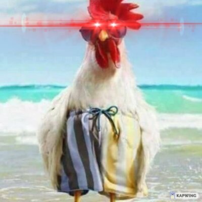 #BITCOIN

#XHV xBTC - #Haven