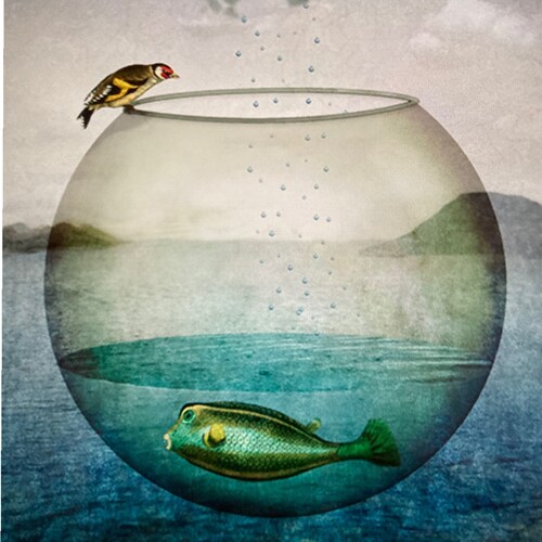 Fine artist trying to survive the hypocrisy of many in my sphere, especially those that ignore censorship which defines ...