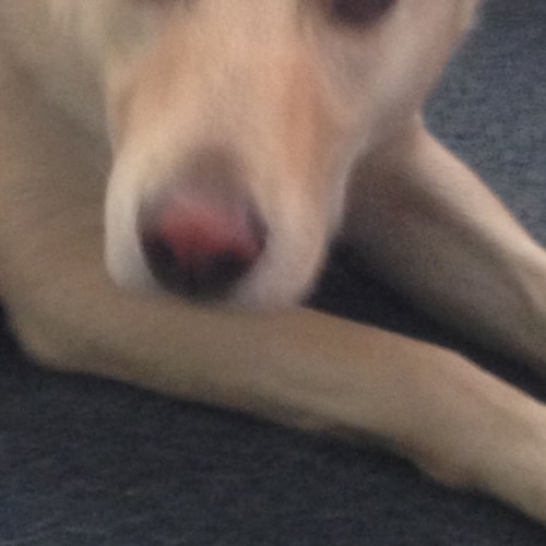 Light of God Surrounds US
The Love of God Enfolds US
The Power of God Protects US
The Presence of God Watches over US
Wh...