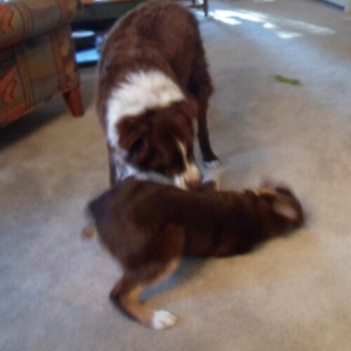 Visit mickstermouse's profile on GETTR. View their posts, photos, videos, and connect with them on the social platform.