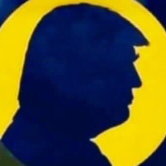 Ultra MAGA conservative with intense dislike for RINOS.