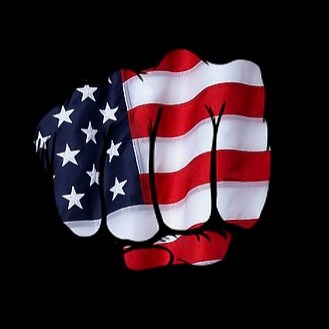 🇺🇸 Average American Joe 🇺🇲 God loving Patriot 🇺🇲 Deplorable 🇺🇲 Proud American 🇺🇲 MAGA 💯