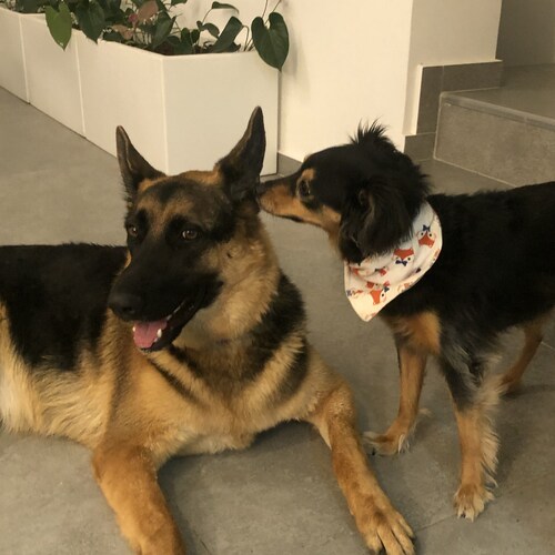 Franco-israelienne. Agnostique. Anti-conformiste d’extrême droite. Activiste droit des animaux. Complotiste, ça va de so...