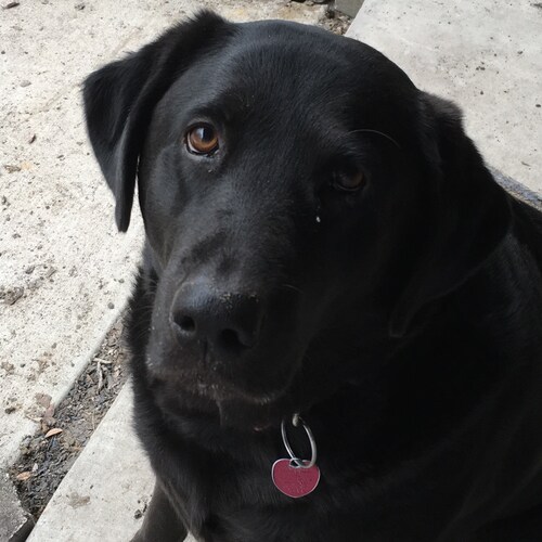 Born and raised Texan and loving GOD