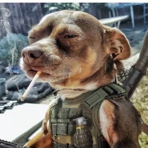 DEATH to the NWO!

Mathew 13:9-16

#MAGAvigilante