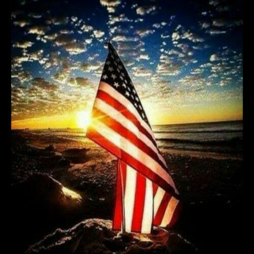 anything freedom is worth preserving🇺🇲