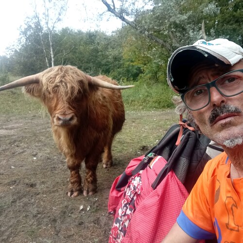 Kike Aguilera Nieto 🇪🇸 I am looking for NOTHING .