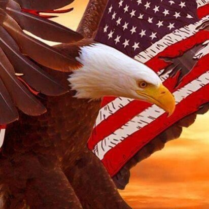 Visit IFoundit727🍊's profile on GETTR. View their posts, photos, videos, and connect with them on the social platform.