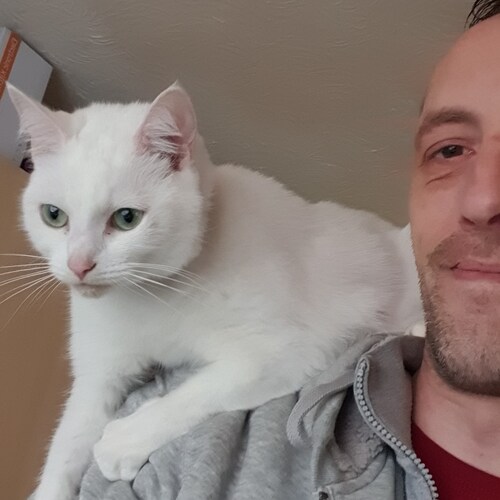 just a normal guy who got banned on twitter