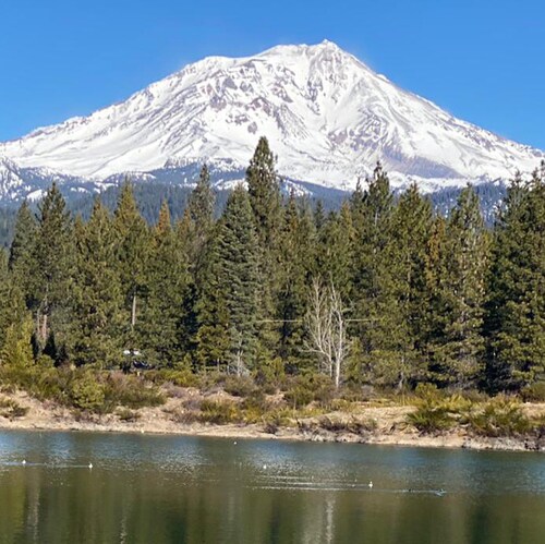 Veteran Husband Father INFP