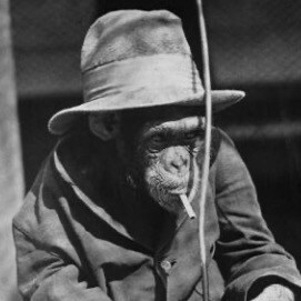 A guy that likes to learn things about stuff. Sic Semper Tyrannis.