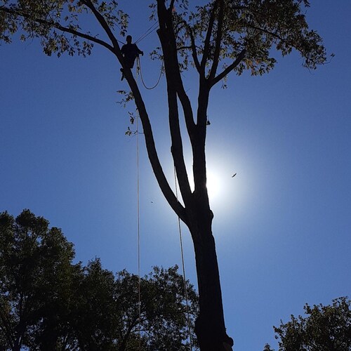 I believe in a Pro-Human future