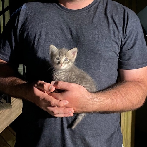 Playfully masculine cultural critic.. also kitties

The way to defeat the Left is to act Right