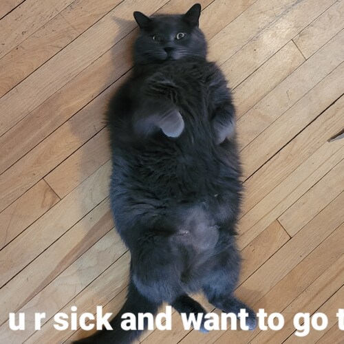 truth and justice  is what we need in this world  push it