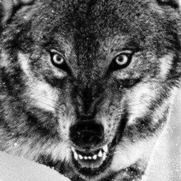 K.O.H. ambassador  


Freedom ain’t free 


  There is only One True Ruler