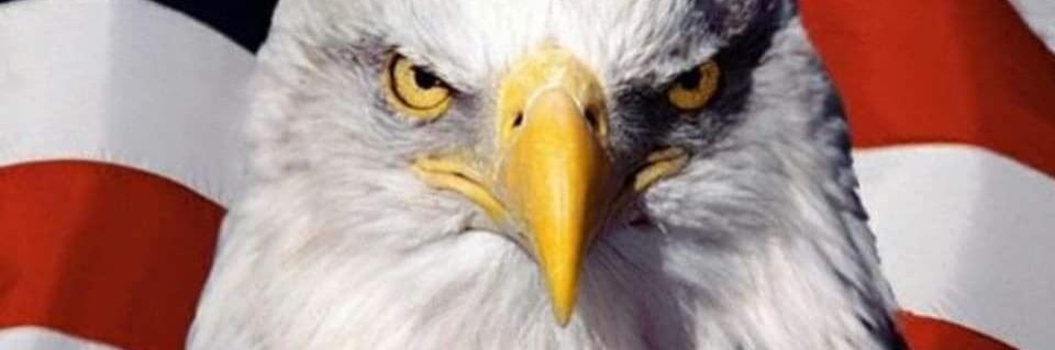 🇺🇸PATRIOT WARRIOR🇺🇸