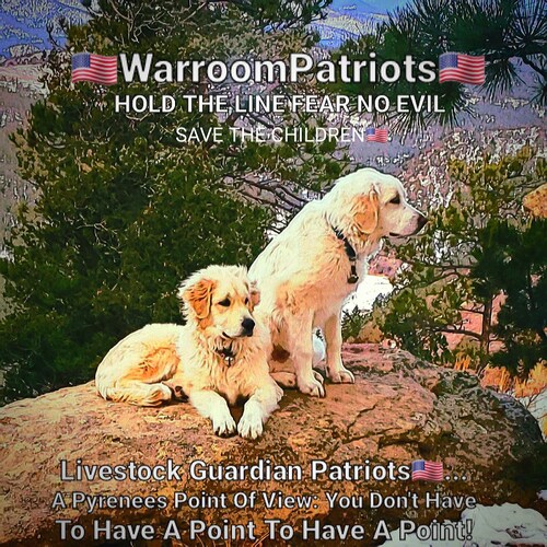 SAVE THE CHILDREN 🇺🇸
Livestock Guardian Patríots Fear No Evil! Holding The Line!
A Pyrenees Point Of View: You Don't H...