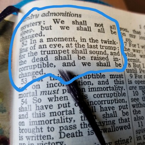 In a moment, in the twinkling of an eye, at the last trump; for the trumpet shall sound.
    1 corinthians 15:52

~Crush the corrupted~

Faith•Family•Freedom