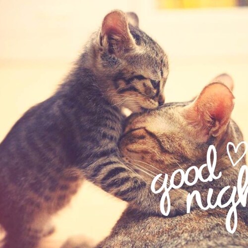 Visit 文葵 OG's profile on GETTR. View their posts, photos, videos, and connect with them on the social platform.