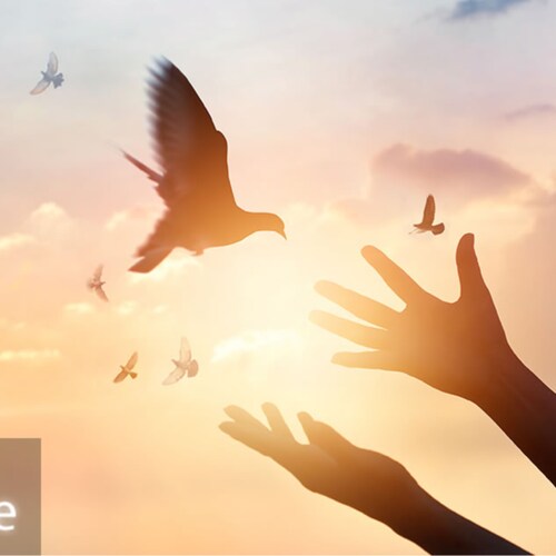 Social Media is BETTR with GETTR. BETTR community. BETTR technology. BETTR opportunity.