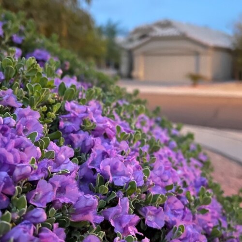 Visit Arenivaz 互粉's profile on GETTR. View their posts, photos, videos, and connect with them on the social platform.