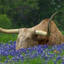 retired-Univ TAMU; Love my God, Family & Country. True Patriot-"Hold the line"