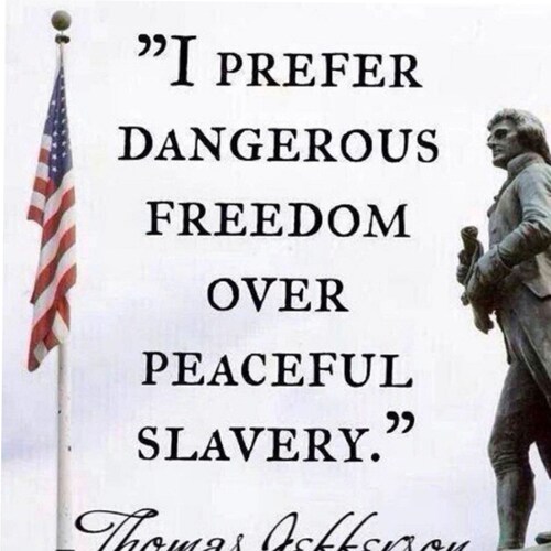 🇺🇸🇺🇸 America loving Patriot! 🇺🇸🇺🇸 #neveraliberal