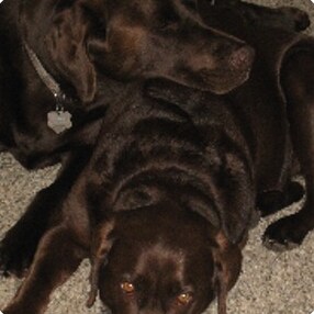 Wife, Mom, Grandma
NASCAR fan and ⛷