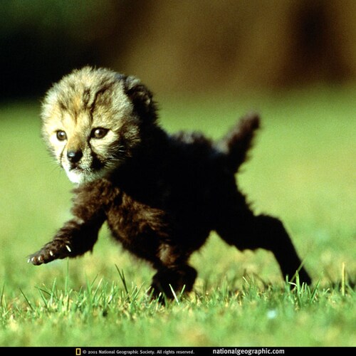 Independent researcher. The Future is Cold. Coincidence takes planning.
Find my work at https://ricardocalvario.medium.c...