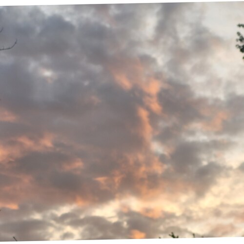 Standing for Freedom, God given rights and America