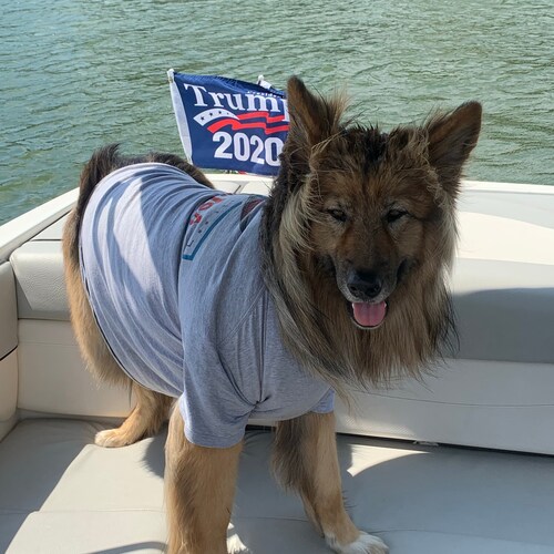 ⛪️Roman Catholic, Father, Husband, US Marine Veteran and Proud Trump Republican🇺🇸