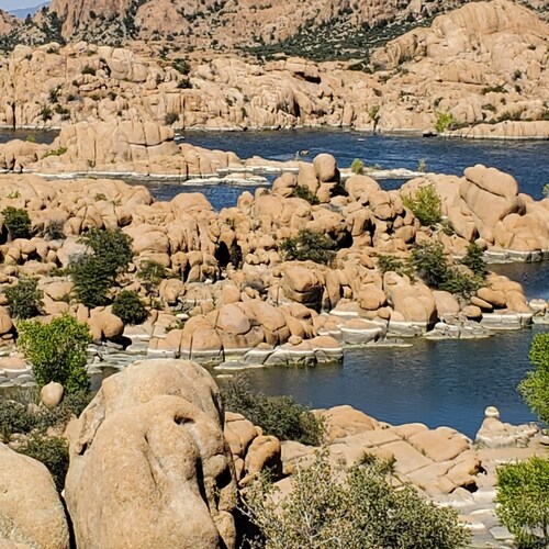 Sinner saved by Christ! ✝️ #RevivalOrRevelation #2A 🍊