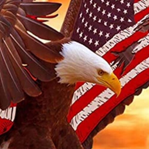 🍊MAGA🍊| TRUMP WON 2020 | AMERICA FIRST🇺🇸  FREEDOM 🇺🇸 🇺🇸 🇺🇸 SUPPORT ALL MEN AND WOMEN IN  UNIFORM 🇺🇸 🇺🇸 🇺�...