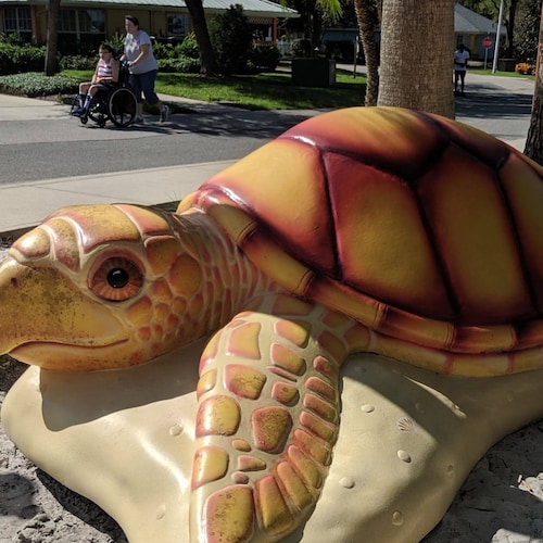 I am a supporter of Trump. I I am an animal advocate. I believe in America and I believe that each and every one of us h...