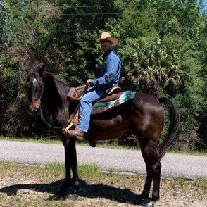 just a dumb redneck from Florida