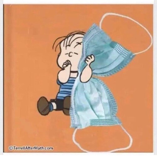 God fearing freedom loving Conservative sick to death of Rinos and Traitors