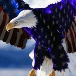 Love chatting with like minded individuals:)  We need our country back...🇱🇷AMERICA FIRST! 🇱🇷👍