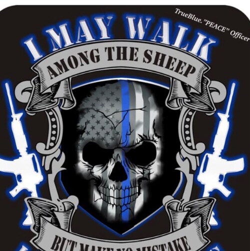Retired Law Enforcement, Military Police Veteran US Army, Patriot, God first family second. Trump supporter to the end.