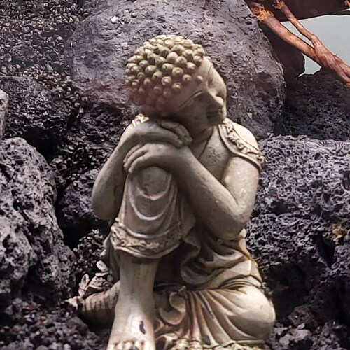 Visit Status_gesund's profile on GETTR. View their posts, photos, videos, and connect with them on the social platform.