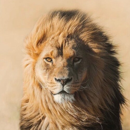 I'm mad as hell and I'm not gonna take it anymore